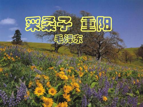 采桑子 重阳全面版