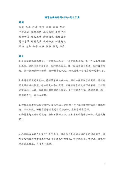 小学语文-描写植物的好词+好句+范文7篇