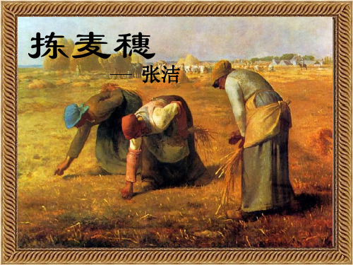 高一语文必修一《捡麦穗》课件