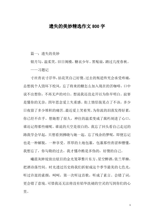 遗失的美妙精选作文800字