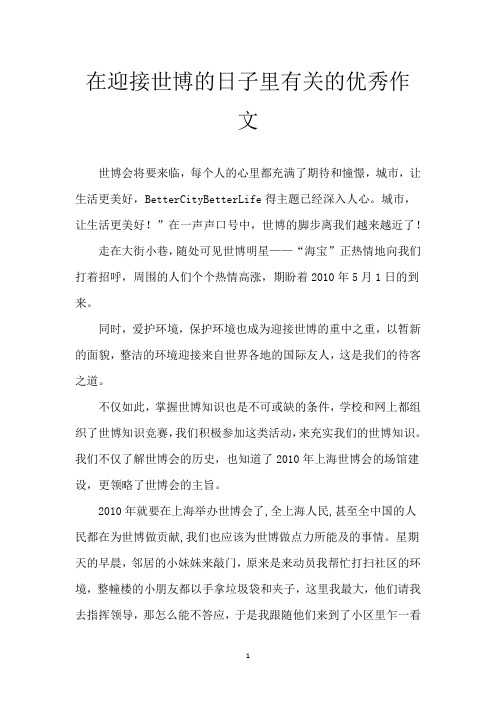 在迎接世博的日子里有关的优秀作文