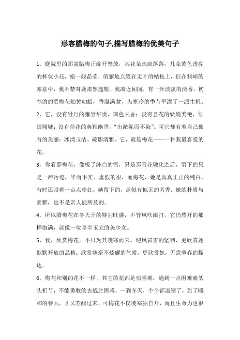 形容腊梅的句子,描写腊梅的优美句子