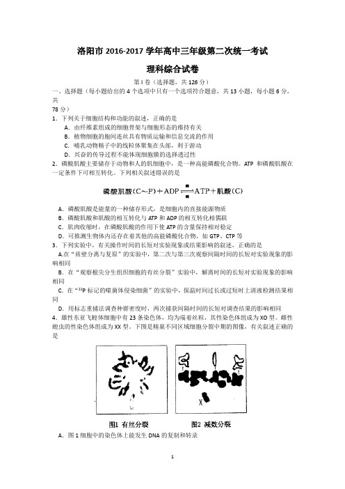 河南省洛阳市2017届高三第二次统一考试(3月)理综