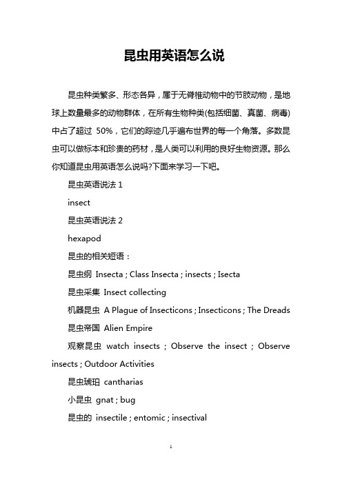 昆虫用英语怎么说
