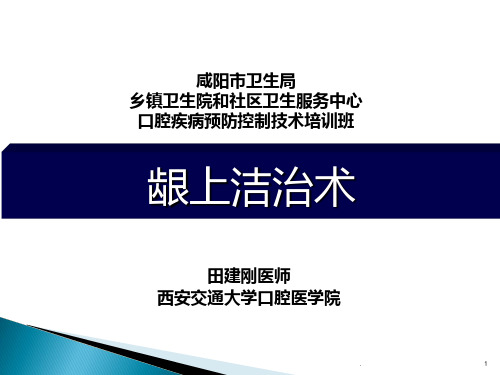 龈上洁治术田剑刚PPT课件