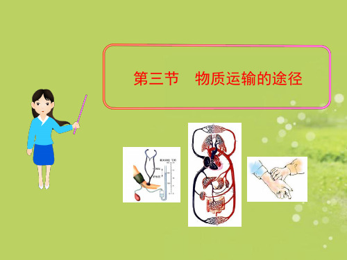 济南版七年级下册初一下册生物第三章第三节物质运输的途径课件