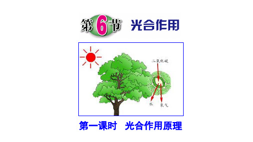 浙教版八年级科学下3.6.1光合作用教学课件共30张PPT含视频素材