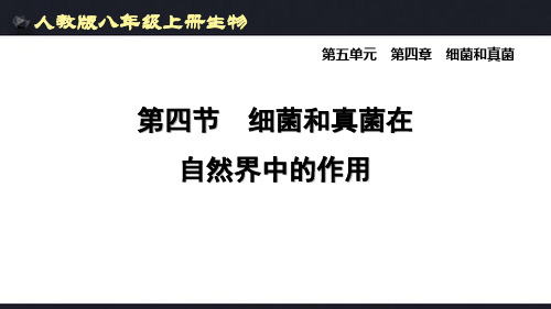 人教八年级上册生物第四章《细菌和真菌在自然界中的作用》考点复习及答案解析