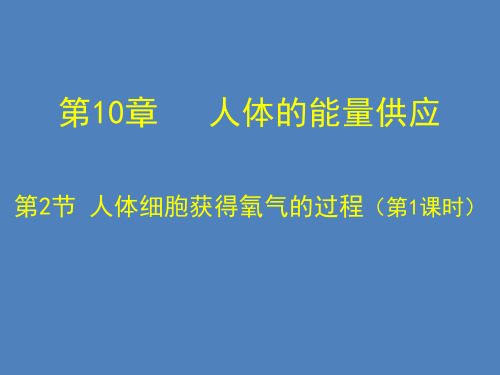 生物七年级下北师大版10.2人体细胞获得氧气的过程课件(29张)