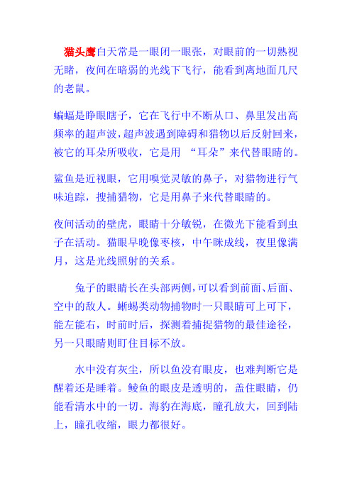 眼睛的进化