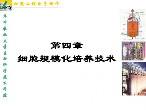 植物细胞工程课件第四章细胞规模化培养技术