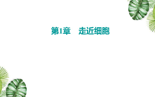 1.2细胞的多样性和统一性 课件 【新教材】人教版(2019)高中生物必修一 (共27张PPT)