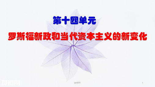 罗斯福新政和当代资本主义的新变化  ppt课件