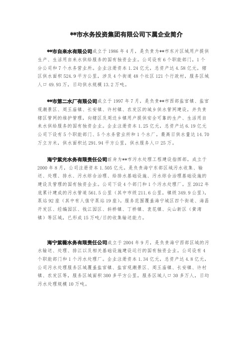 XX市水务投资集团有限公司下属企业简介【模板】