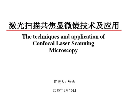 共聚焦显微镜汇报