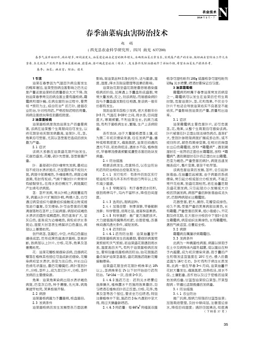 春季油菜病虫害防治技术