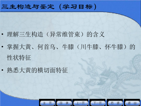 根及根茎类药材鉴定(异常结构与大黄、何首乌、牛膝的鉴定).