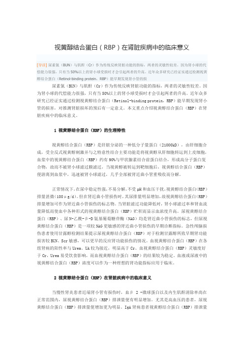 视黄醇结合蛋白