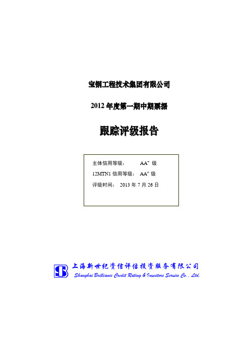 宝钢工程技术集团(BSEE)-2013中期评级