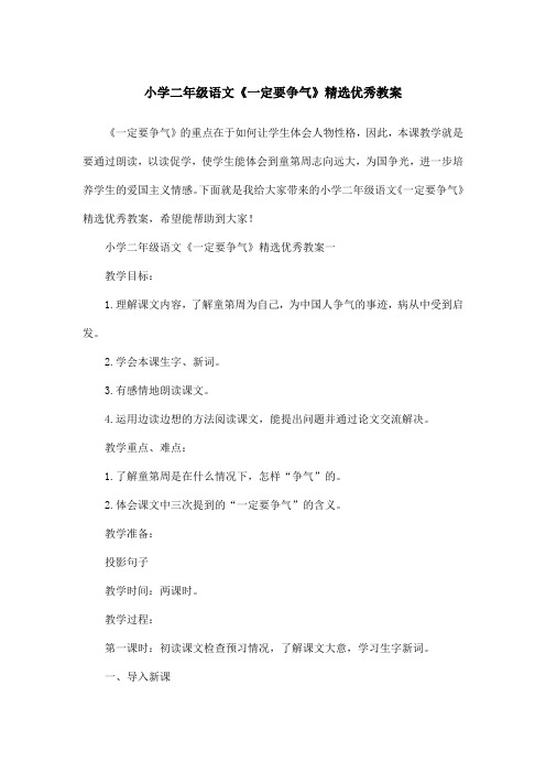 小学二年级语文《一定要争气》精选优秀教案