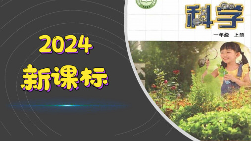 (2024)新苏教版科学一年级上册(2-4)  认识感官-PPT课件