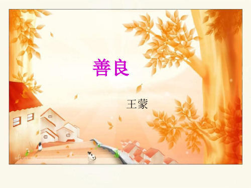 善良__王蒙