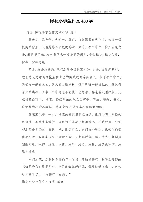 梅花小学生作文400字_71