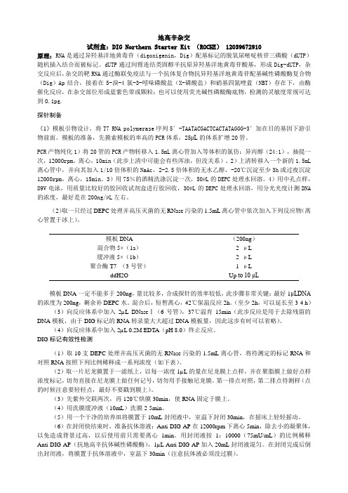 地高辛标记Northern杂交中文方法
