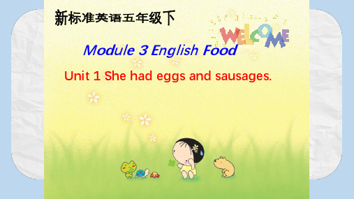 最新外研版(三起)小学五年级英语下册3Unit 1 She had eggs and sa usages精品ppt课件