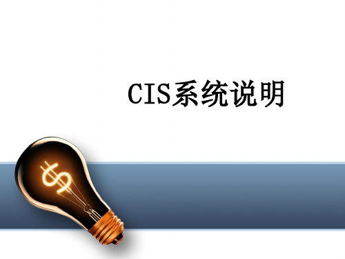CIS项目解析及说明