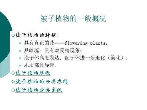 树木学41(各论第二章)被子植物(木兰科、腊梅科)总结