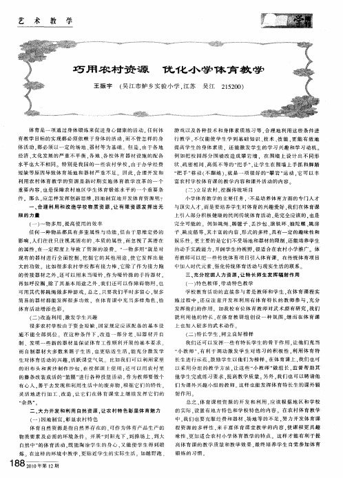 巧用农村资源 优化小学体育教学