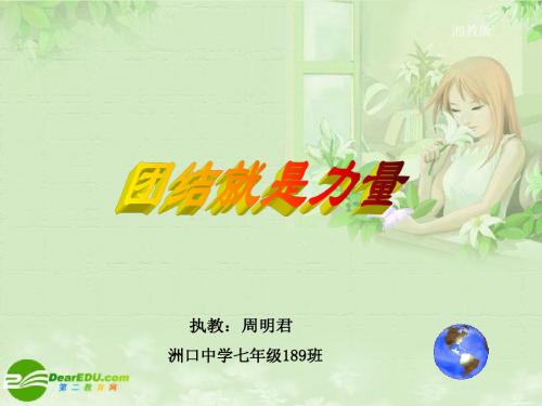 团结就是力量课件