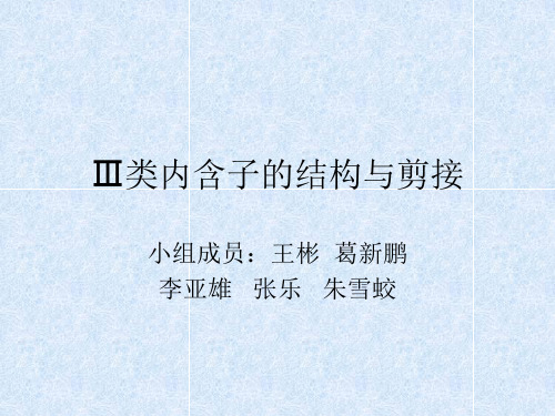 Ⅲ类内含子的结构与剪接