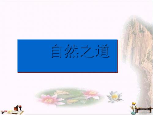 六年级语文上册 第23课 自然之道课件 语文S版