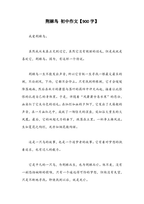 荆棘鸟 初中作文【900字】