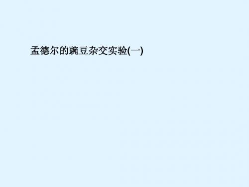 最新2015届高考生物一轮详细复习孟德尔的豌豆杂交实验一(考点透析典例跟踪详解实验导航大题专训)新人教版
