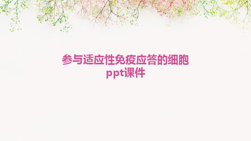 参与适应性免疫应答的细胞PPT课件