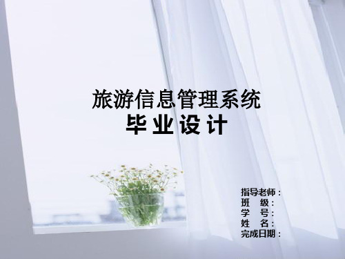 旅游信息管理系统分析与设计答辩稿