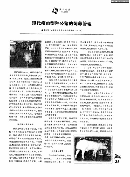 现代瘦肉型种公猪的饲养管理