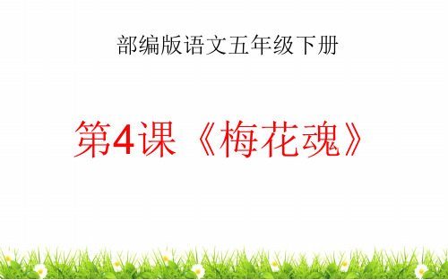 最新部编人教版小学五年级语文下册《梅花魂》精品教学课件