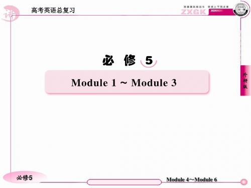 高三英语(外研版)总复习语法课件：专项语法突破(9)情态动词与虚拟语气