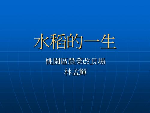 水稻的一生
