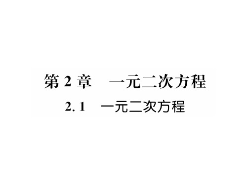 秋九年级数学上册课件(湘教版)2.1 一元二次方程(共22张PPT)