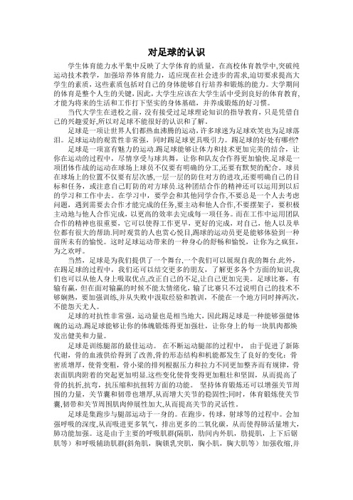 对足球的认识