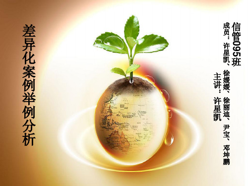 差异化案例举例分
