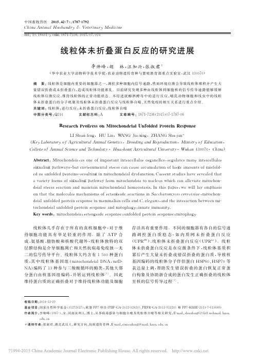 线粒体未折叠蛋白反应的研究进展_李帅峰_胡林_汪加兴_张淑君