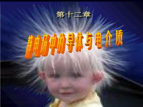 静电场中的导体和电介质共29页