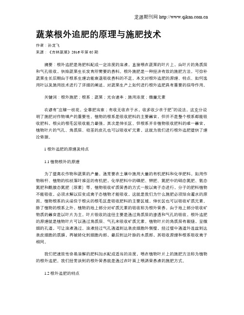 蔬菜根外追肥的原理与施肥技术