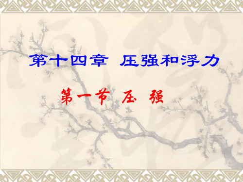 压强(公开课用课件)